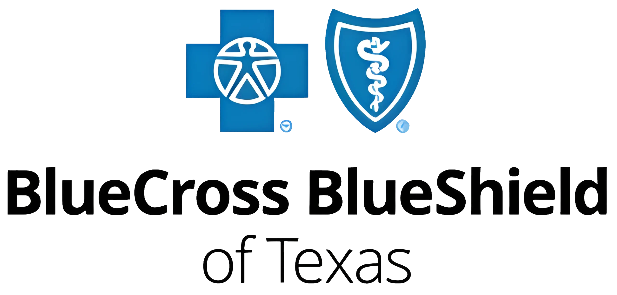 BCBS TX at Velocity Physical Therapy