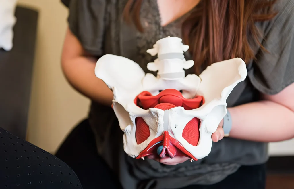 Womens Pelvic Health And Pain at Velocity Physical Therapy